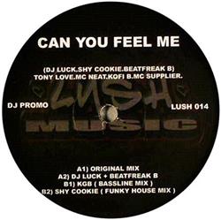 DJ Luck, Shy Cookie & Beatfreak B Feat Tony Love , MC Neat, Kofi B & MC Supplier - Can You Feel Me