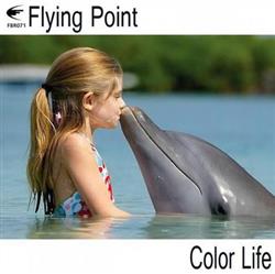 Flying Point - Color Life