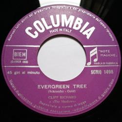 Cliff Richard E The Shadows - Evergreen Tree I Love You So